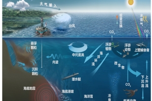 中国科学院南海海底观测子网项目可行性研究报告.jpg